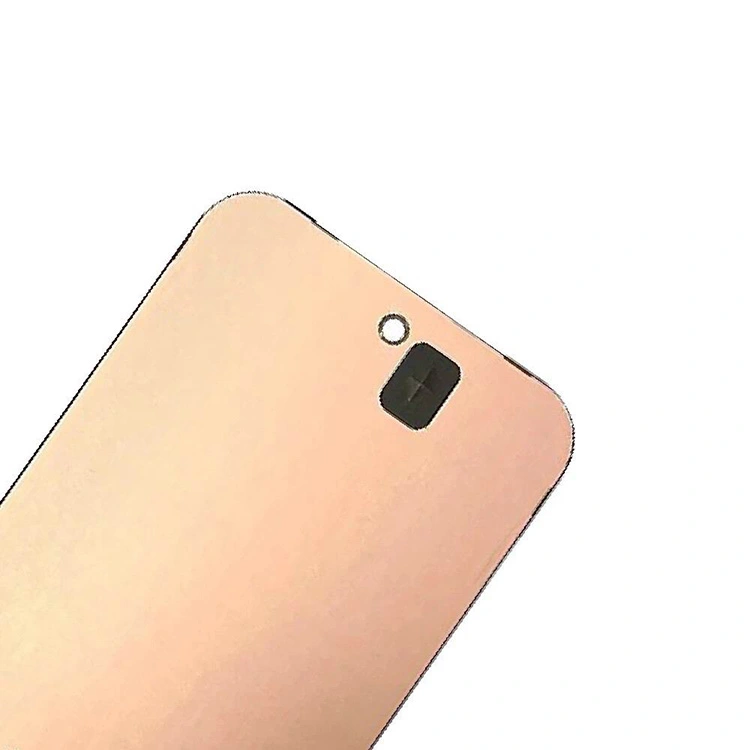 Pixel 9 LCD Screens