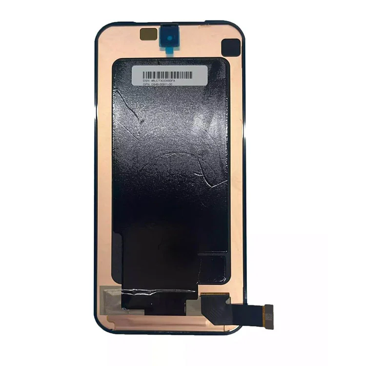 Pixel 9 Pro Fold LCD Screens
